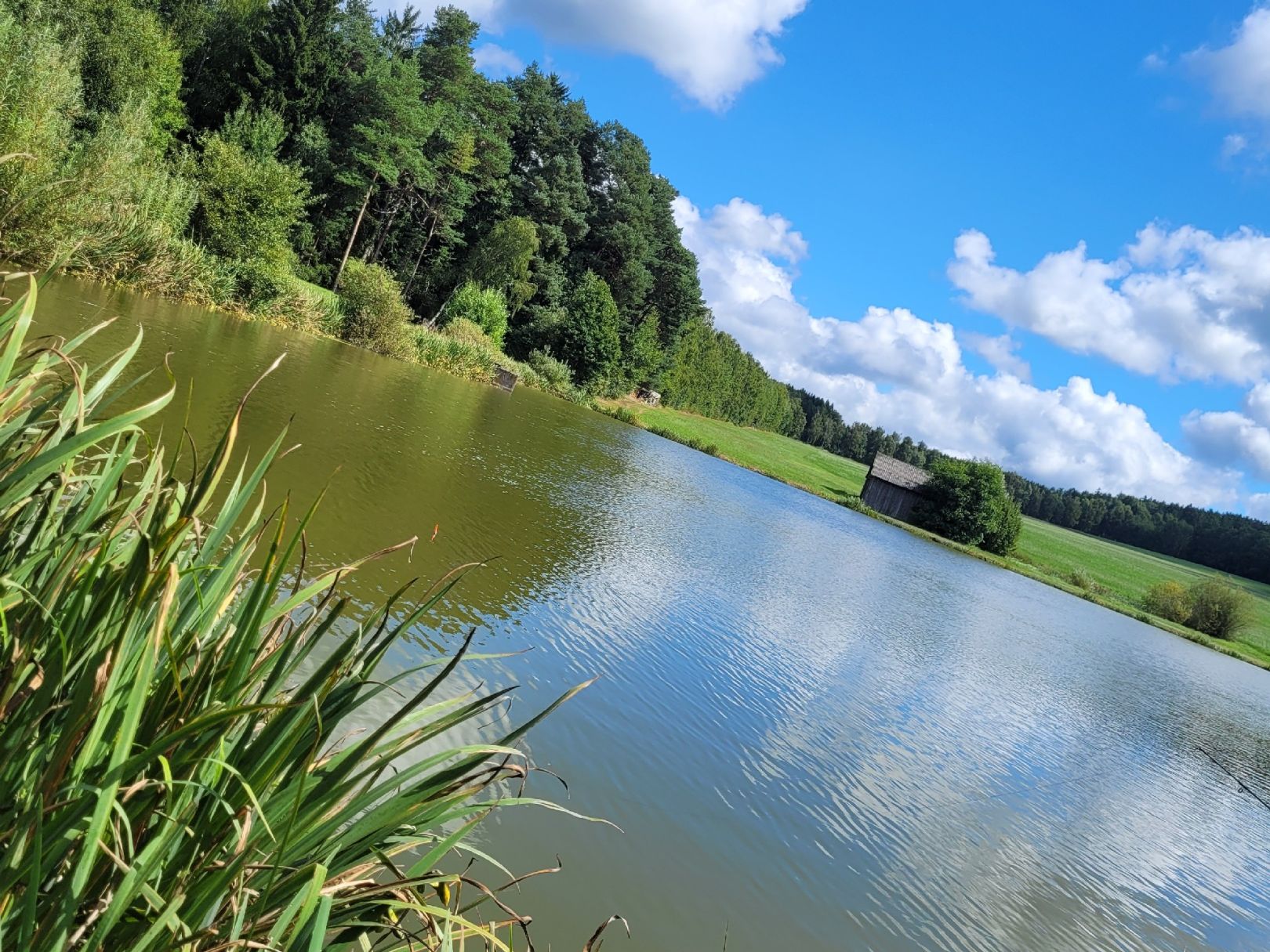 Mathesenweiher (Eslarn) angeln