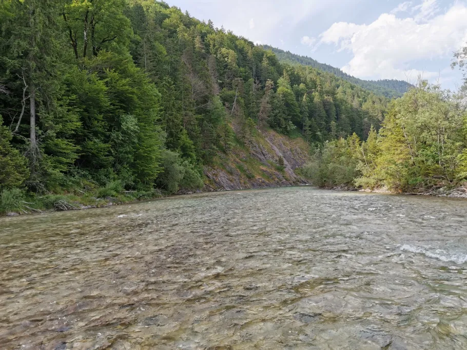 Isar (Lenggries) angeln