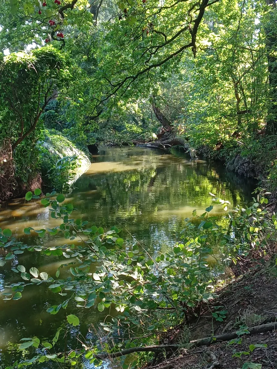 Große Röder (Kalkreuth) angeln