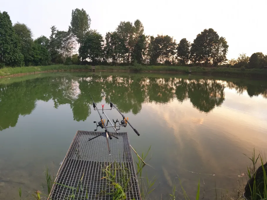 Vereinssee ASV Heidesheim angeln