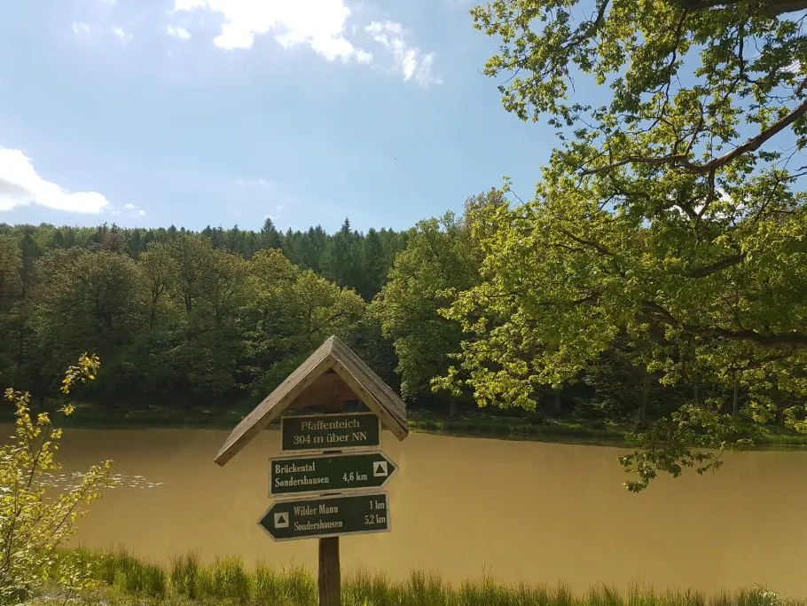 Pfaffenteich (Sondershausen) angeln