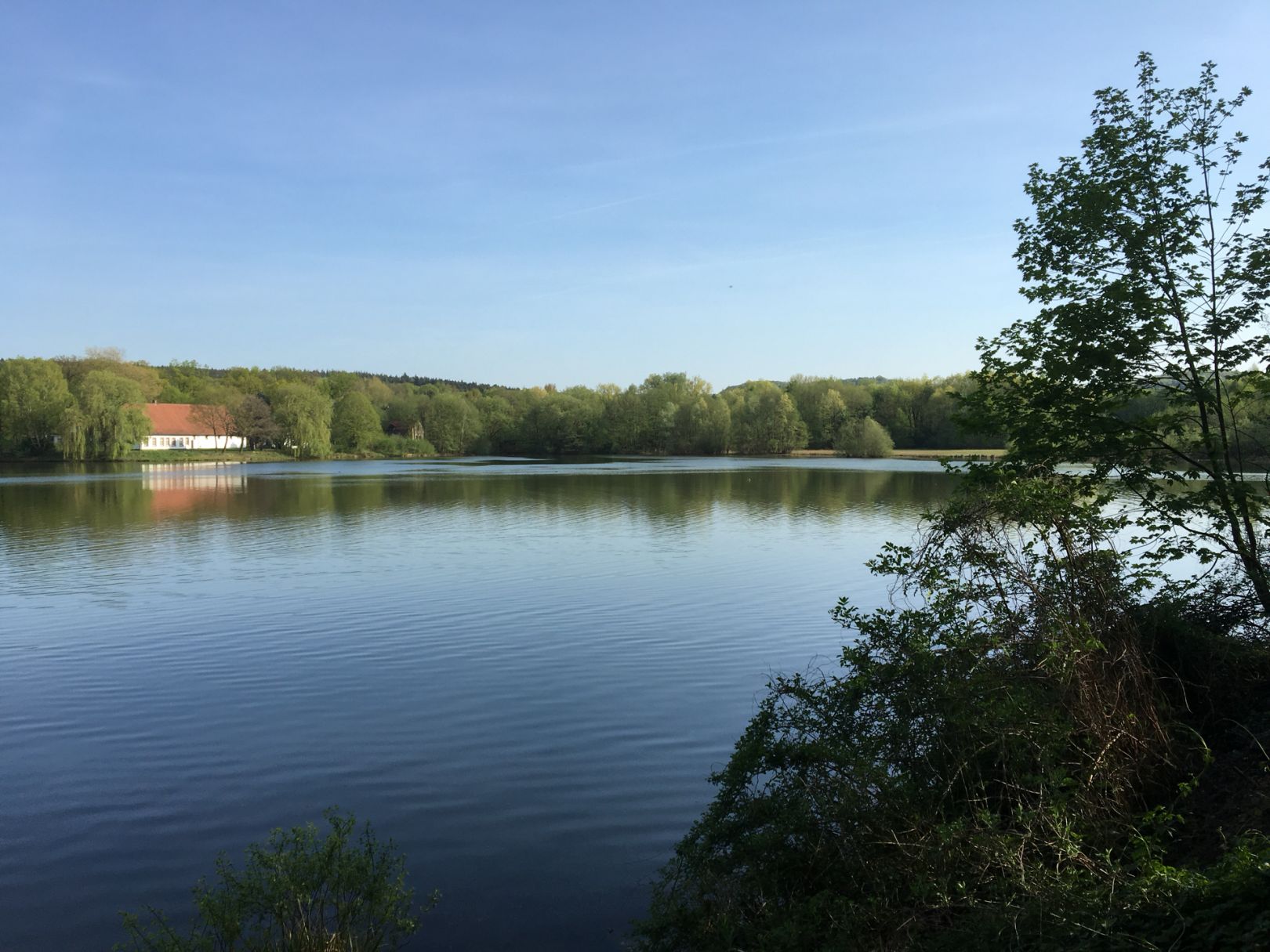 Teutoburger Waldsee angeln