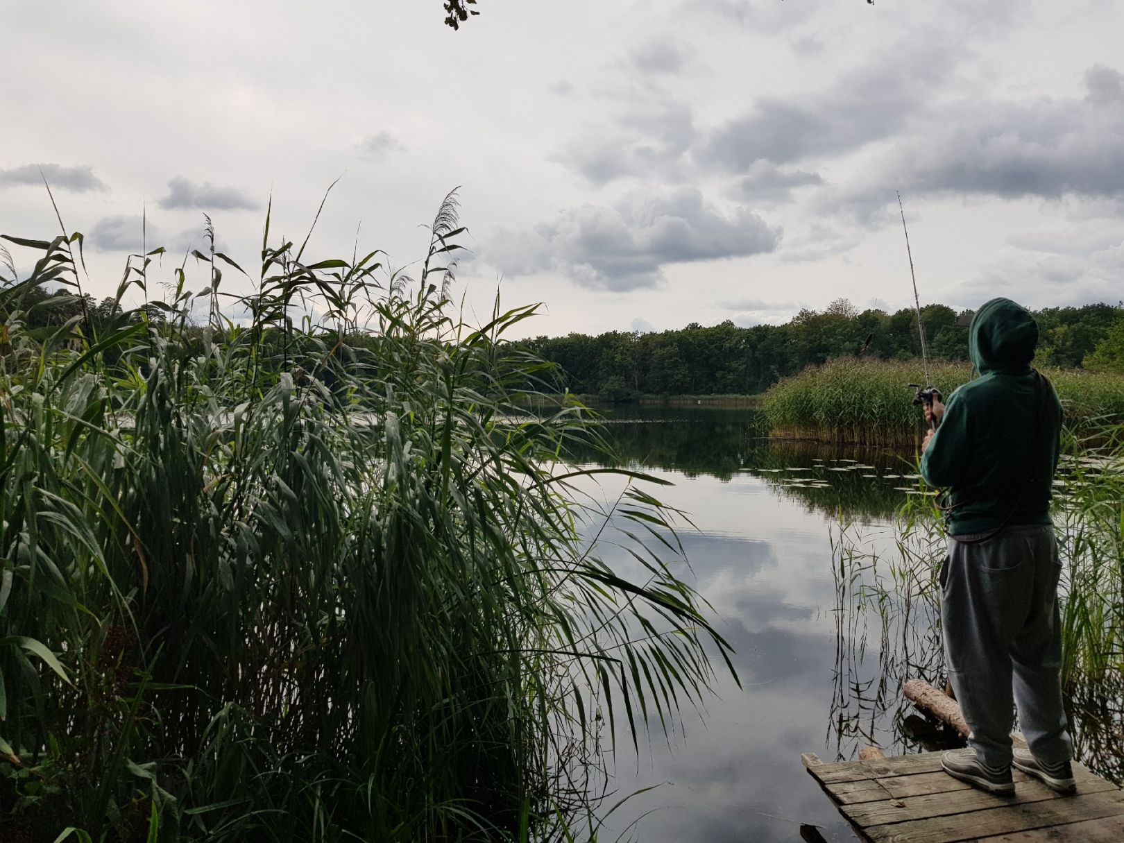 Grabowsee (Marienwerder) angeln