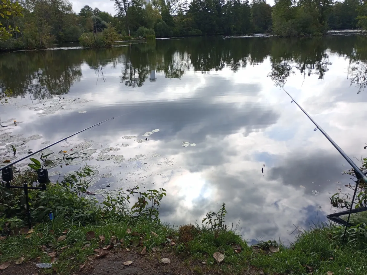 Unterer Aueweiher (Fulda) angeln