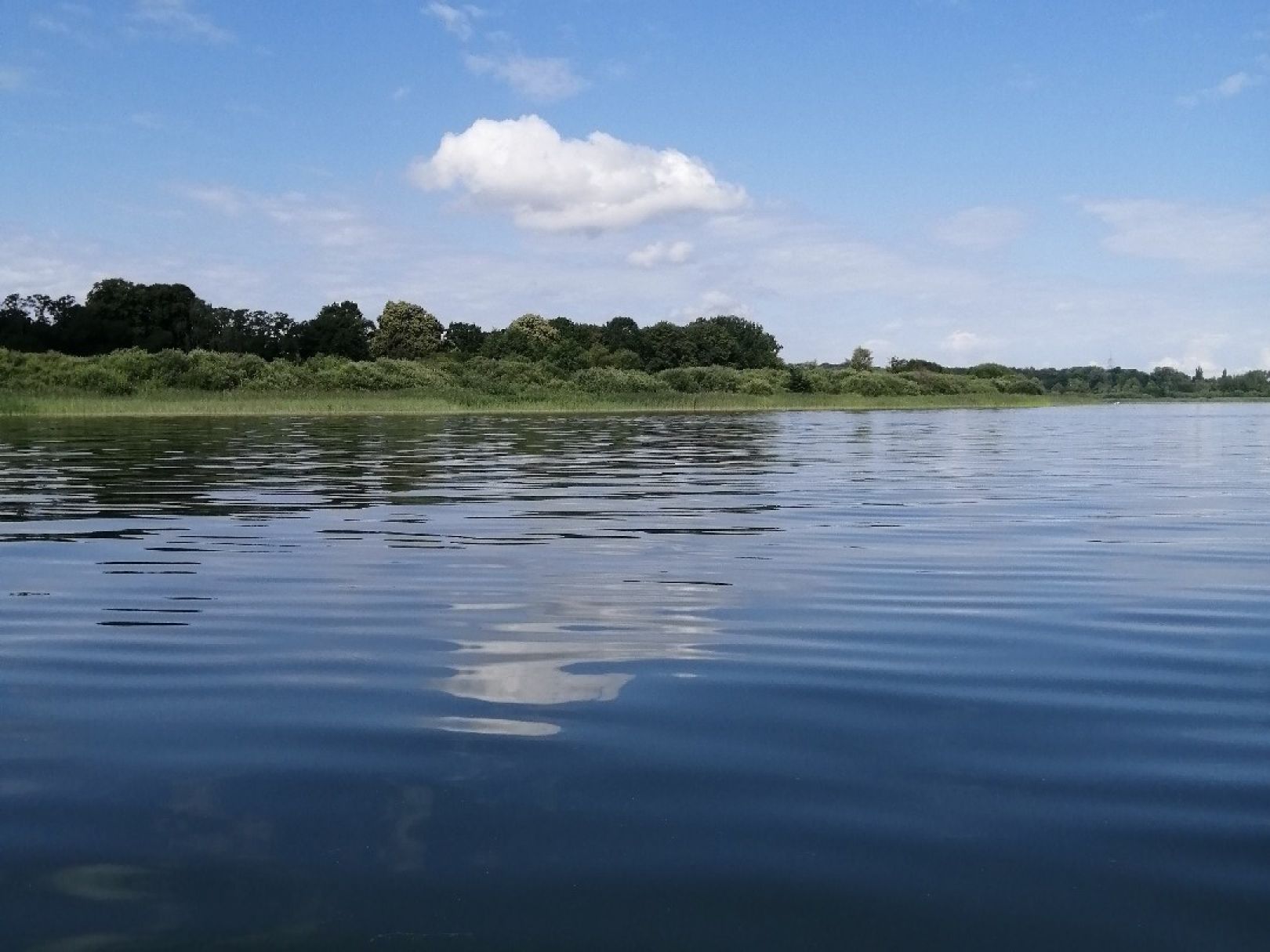 Malchower Stadtsee angeln