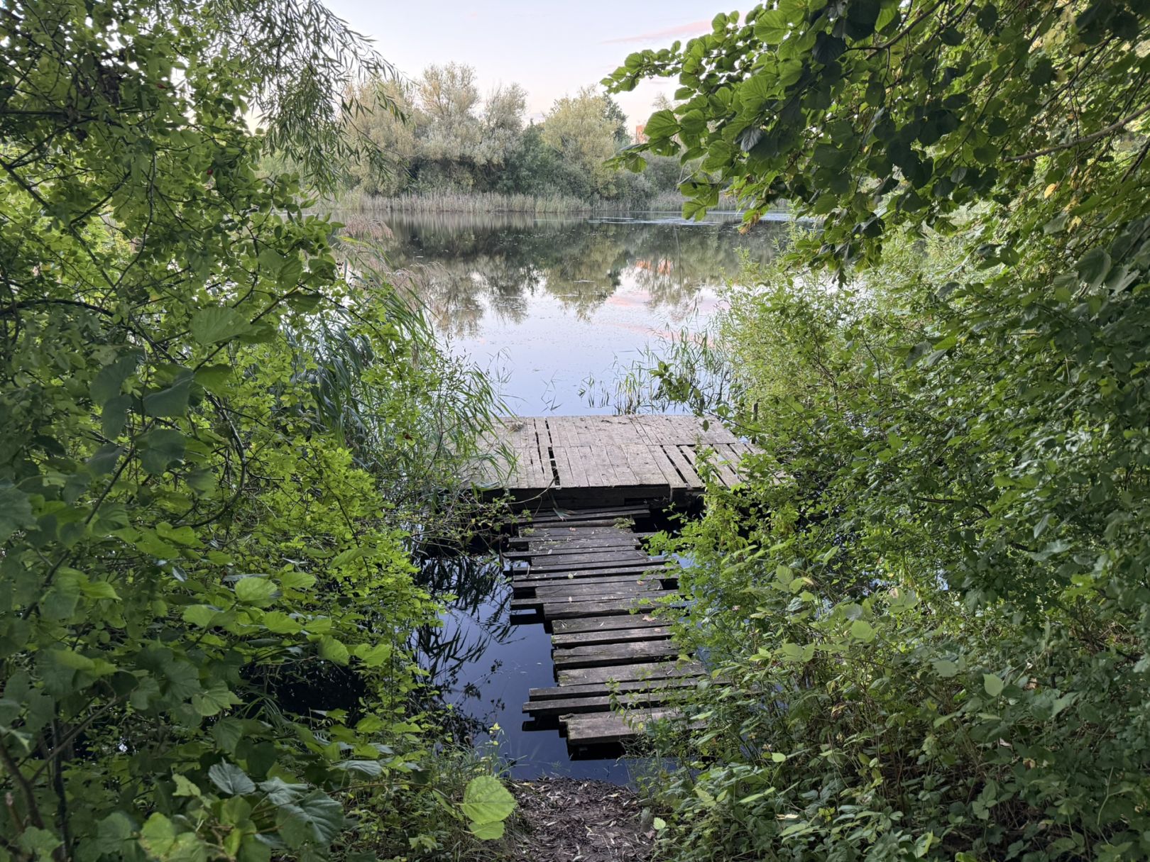 Fünfeichener Teiche angeln