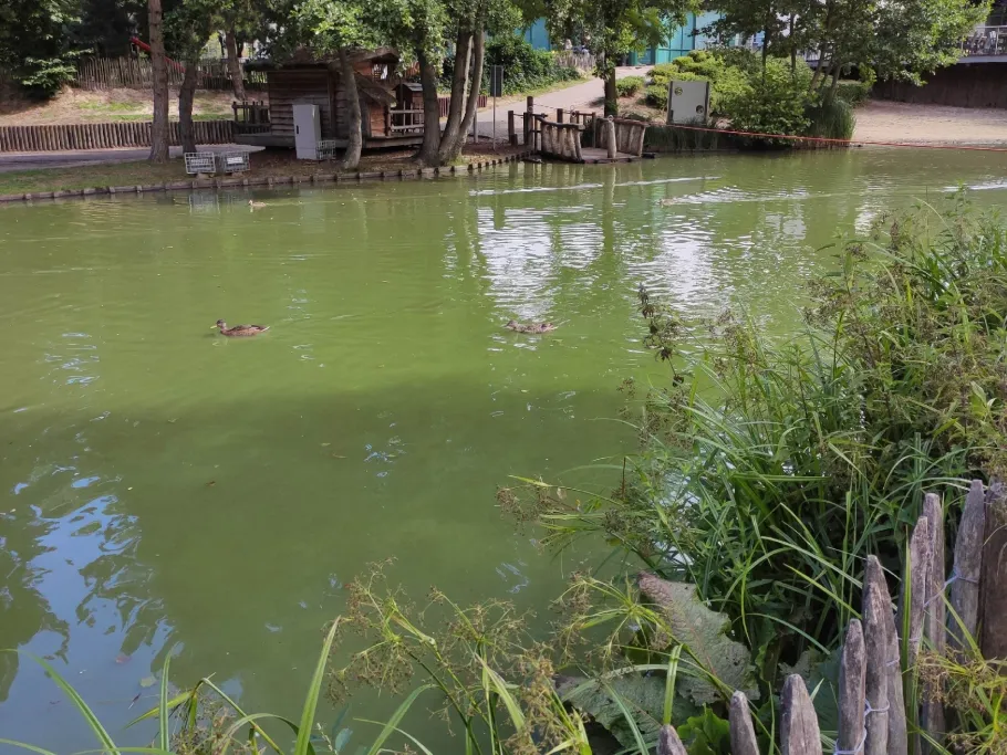 Landal De Lommbergen angeln