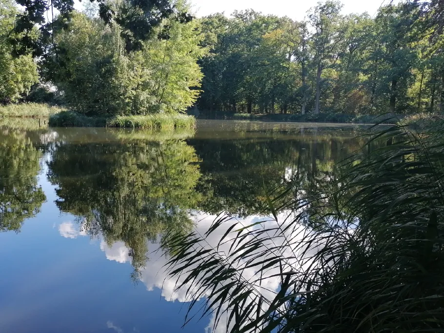 Kellerbuschteiche (Lindstedt) angeln