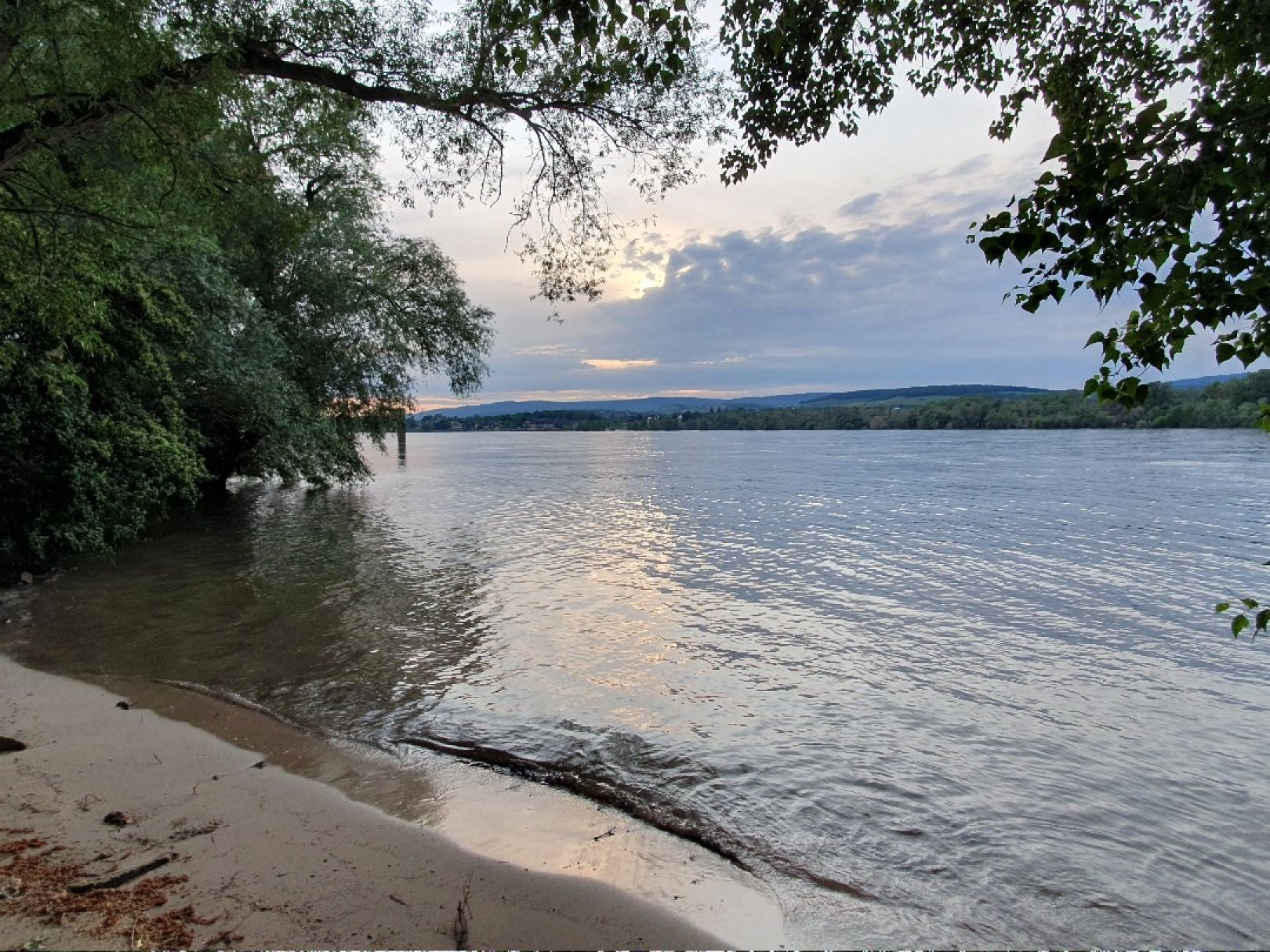 Rhein (Budenheim) angeln