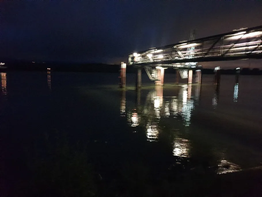 Rhein (Budenheim) angeln