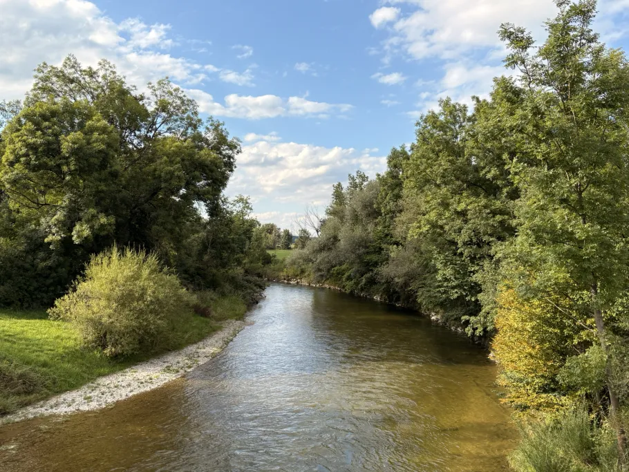 Ammer (Weilheim i. OB) angeln