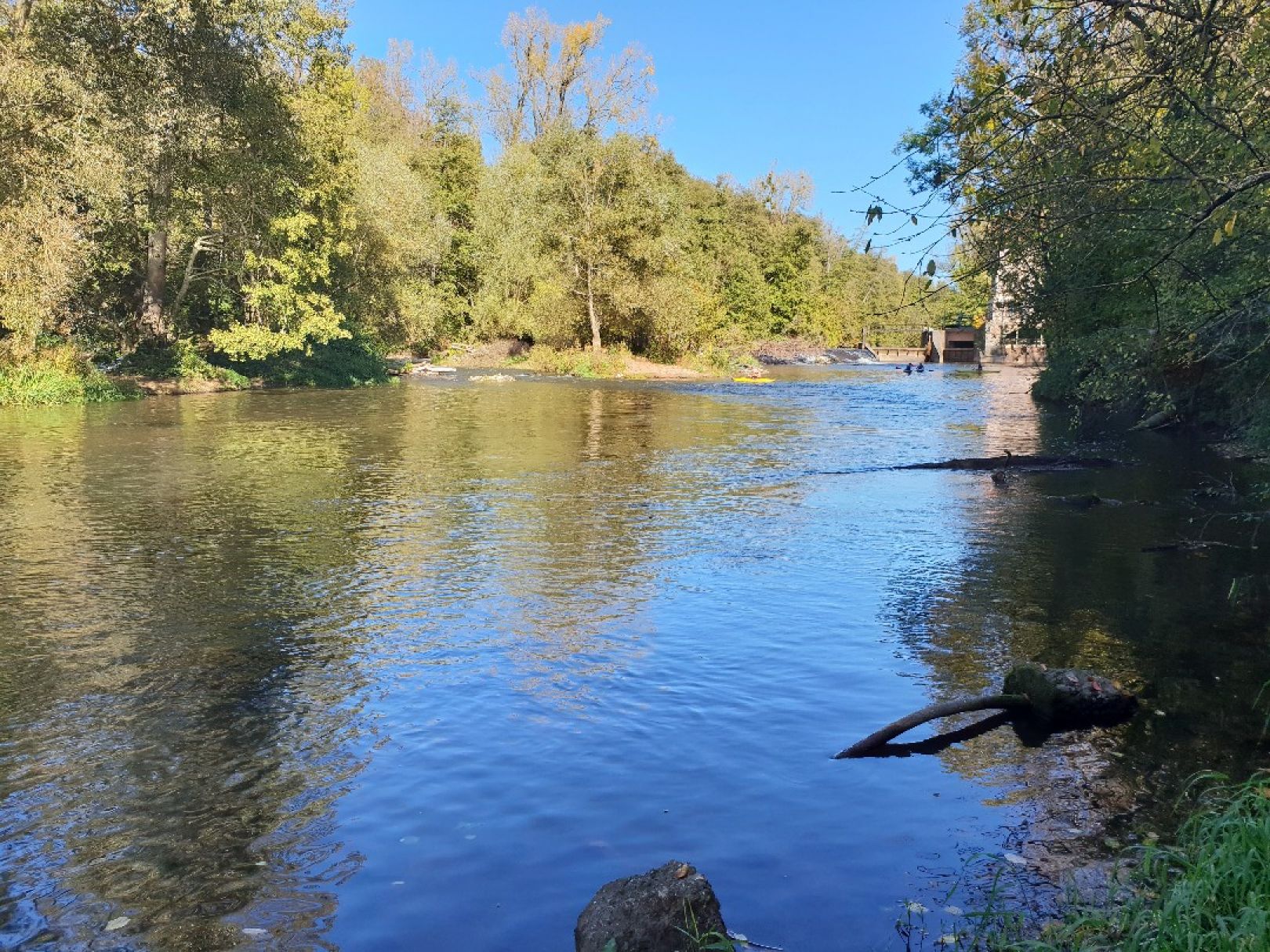 Blies (Sitterswald) angeln