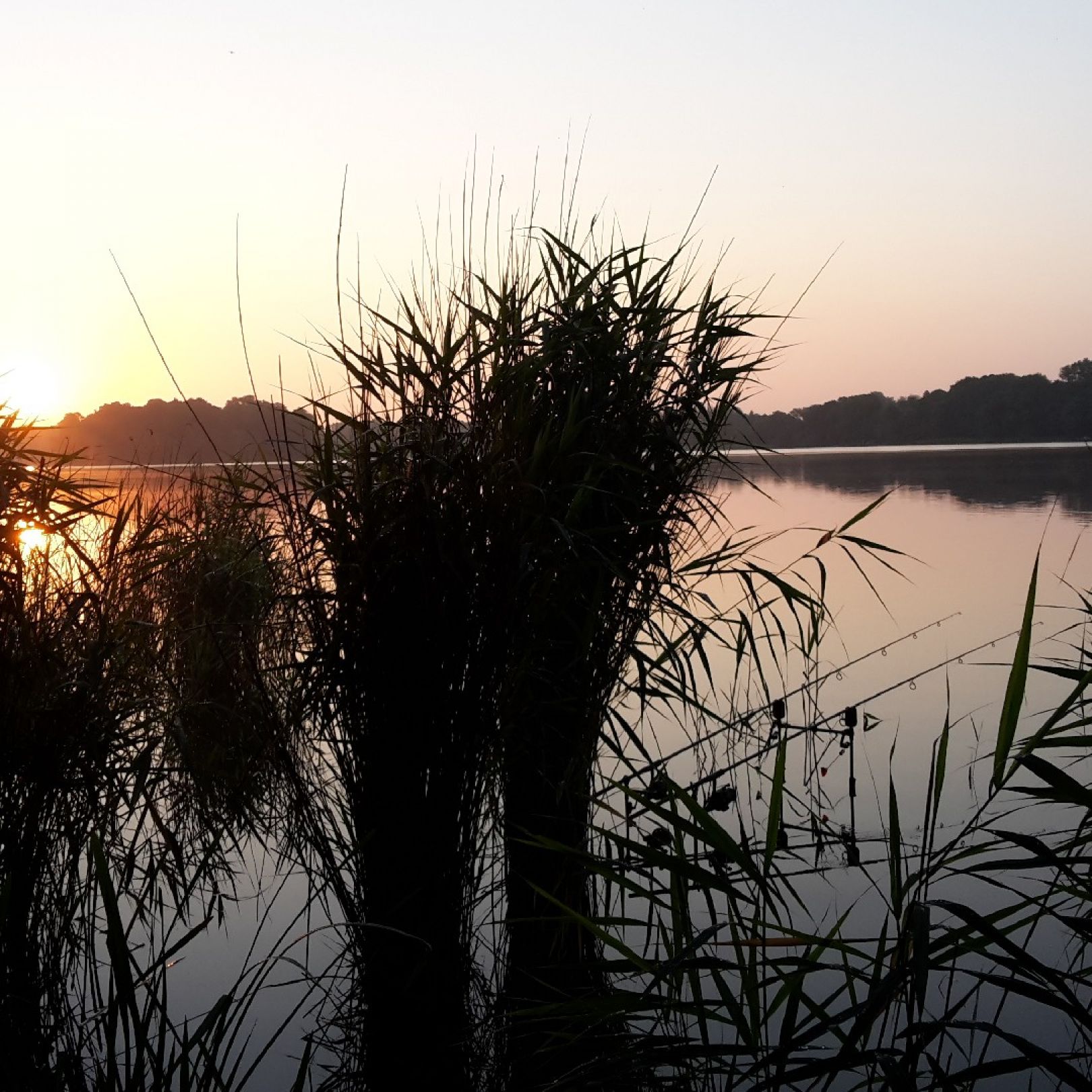 Ruppiner See angeln