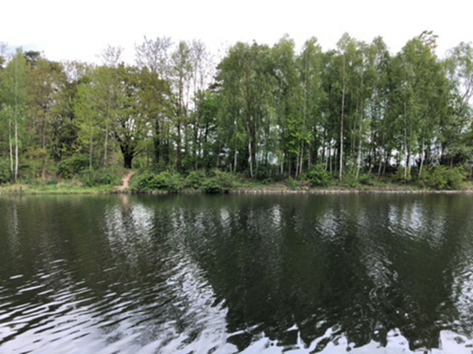 Havelkanal (Schönwalde) angeln
