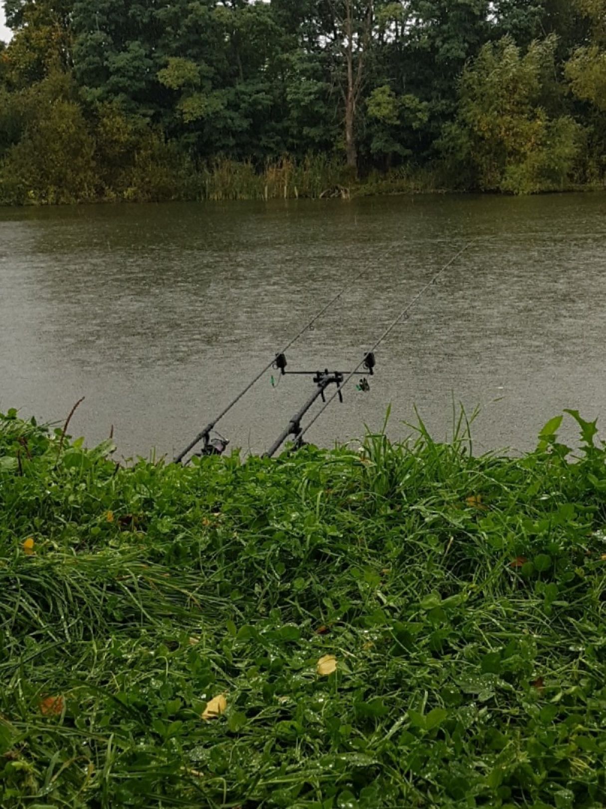 Kleiner Kliestower See (Frankfurt/Oder) angeln