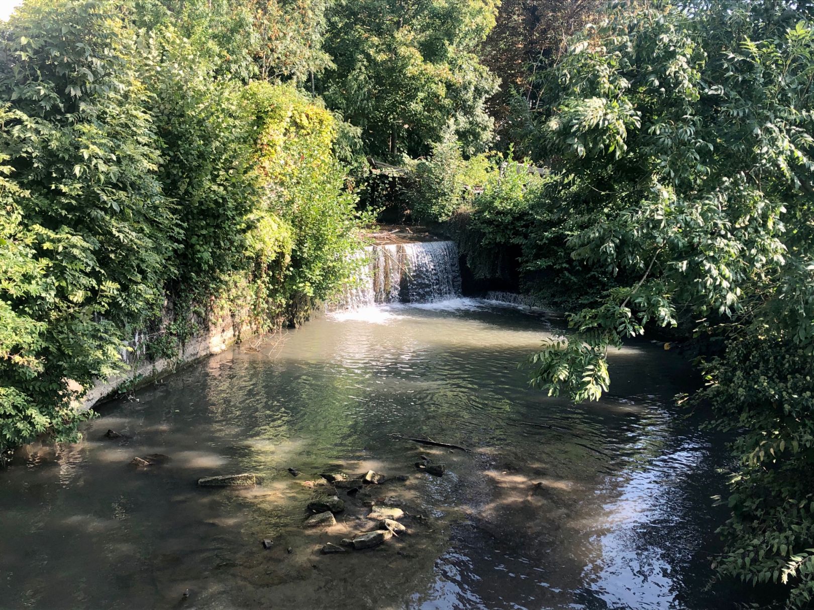 Angeln in Dielheim