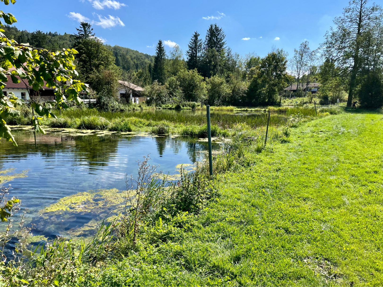 Fischzucht Aumühle angeln