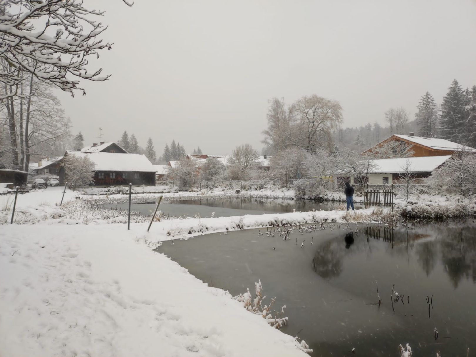Fischzucht Aumühle angeln
