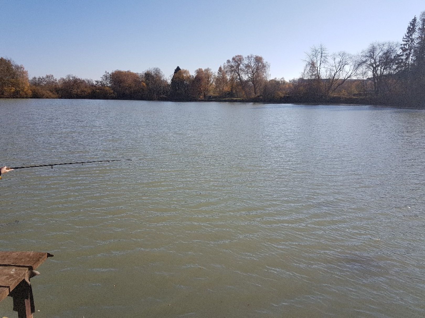 Silbersee (Wirges) angeln