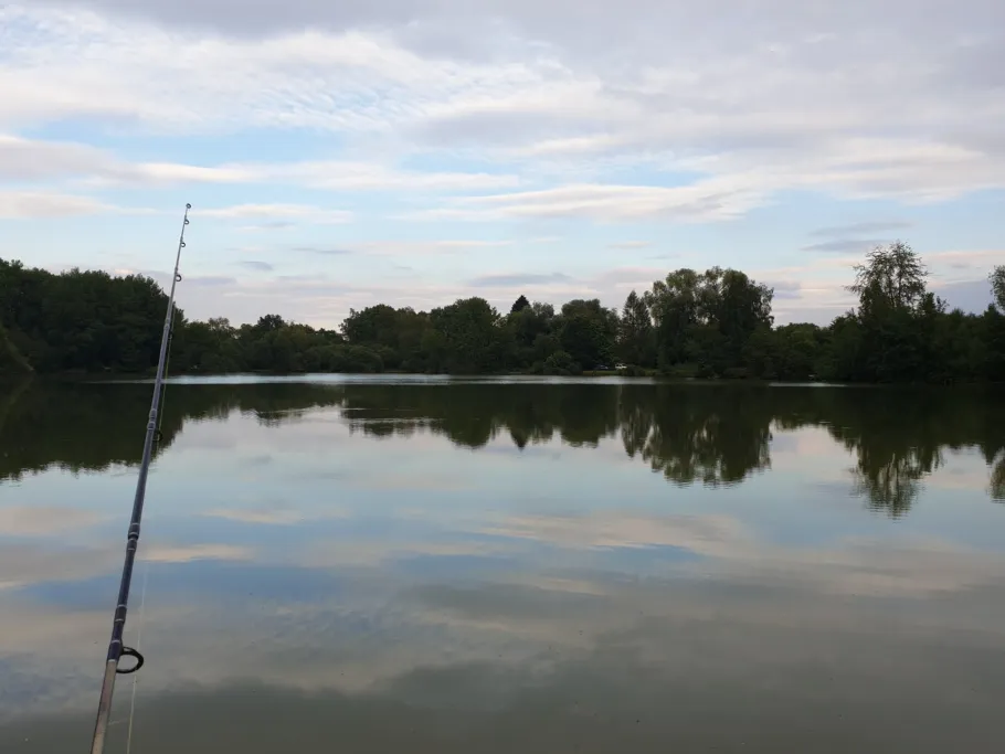 Silbersee (Wirges) angeln