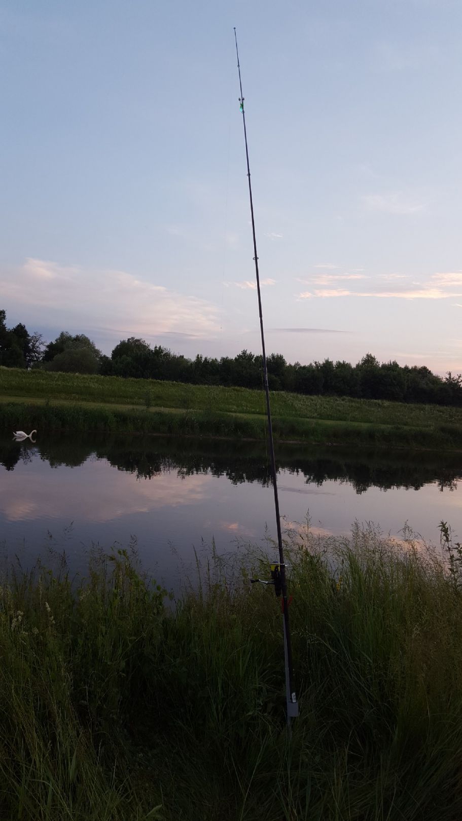 Kinzig (Willstätt) angeln