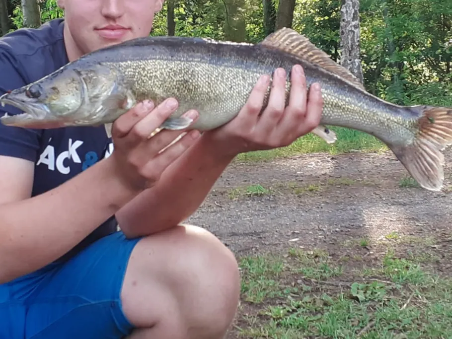 Parkteich Ortrand angeln