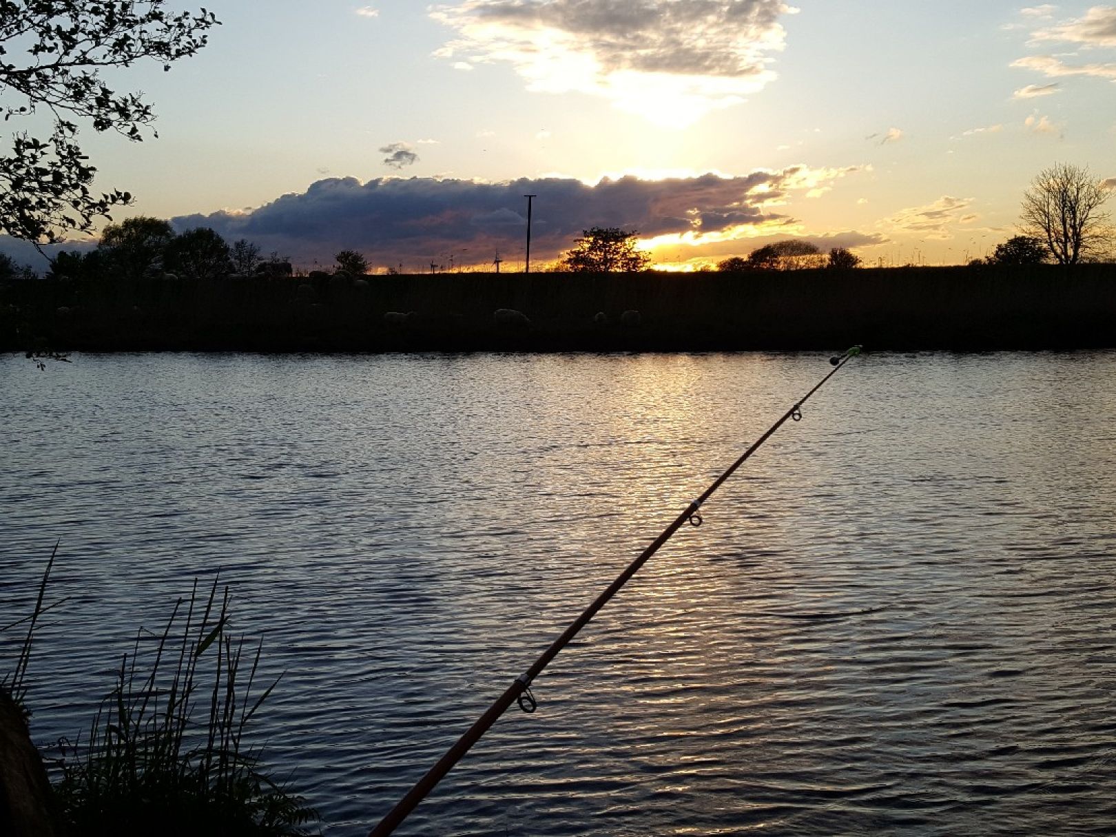 Oste (Gräpel) angeln