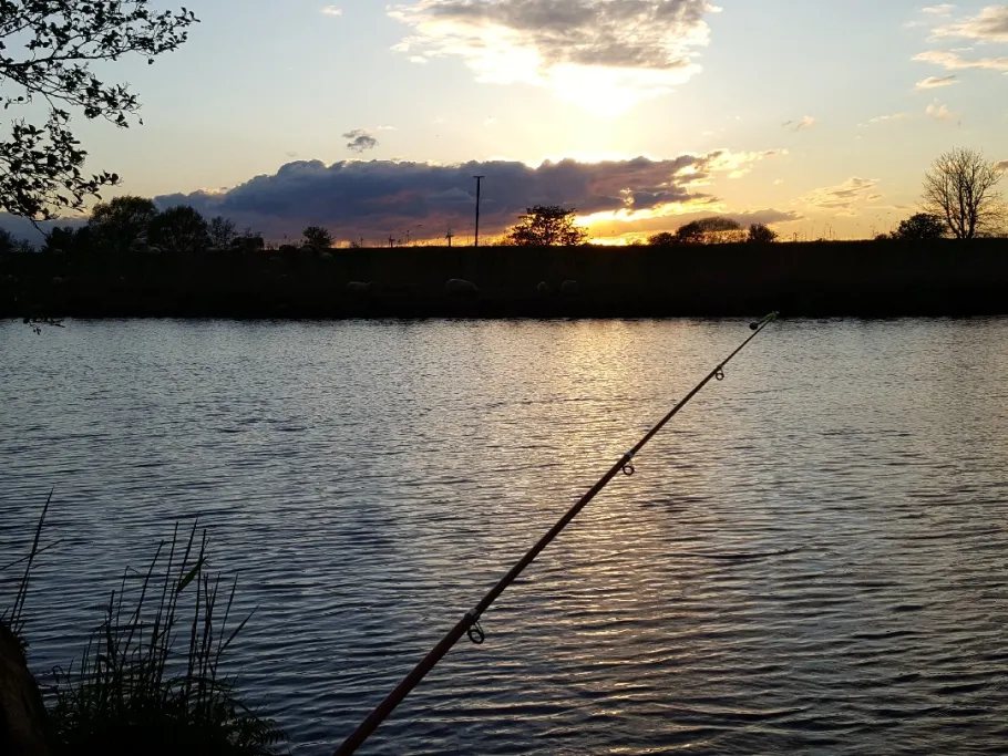 Oste (Gräpel) angeln