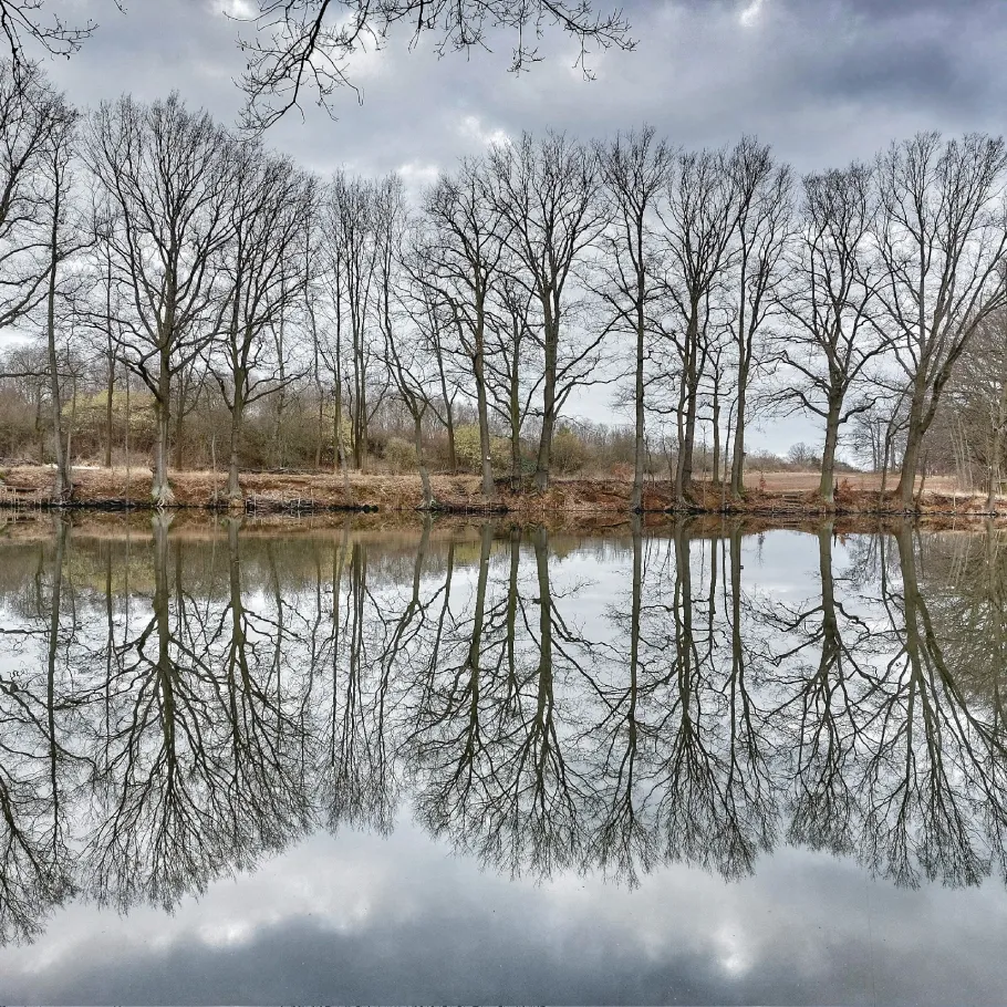 Lehmgrube Hellerau angeln