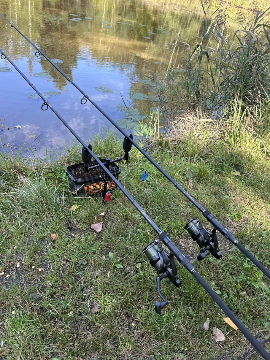 Grube 5 (Hosena) angeln