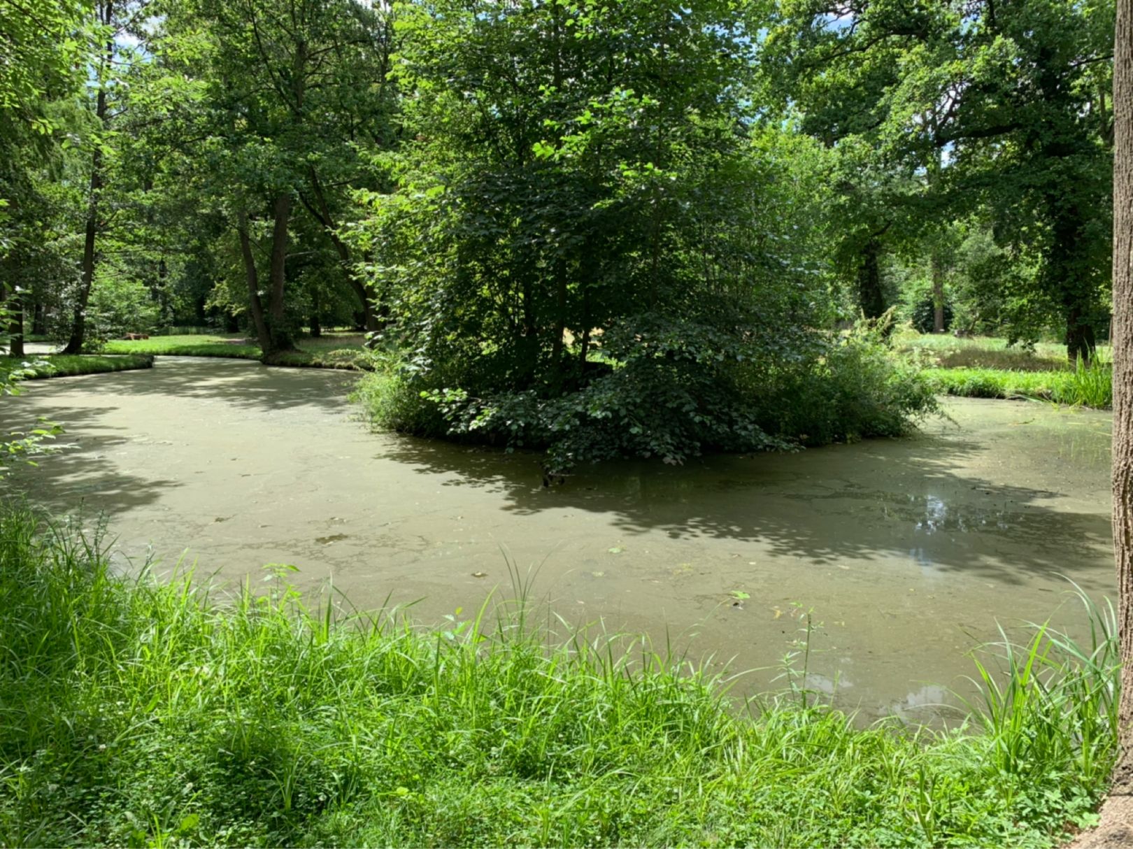 Schloßteich Vetschau angeln