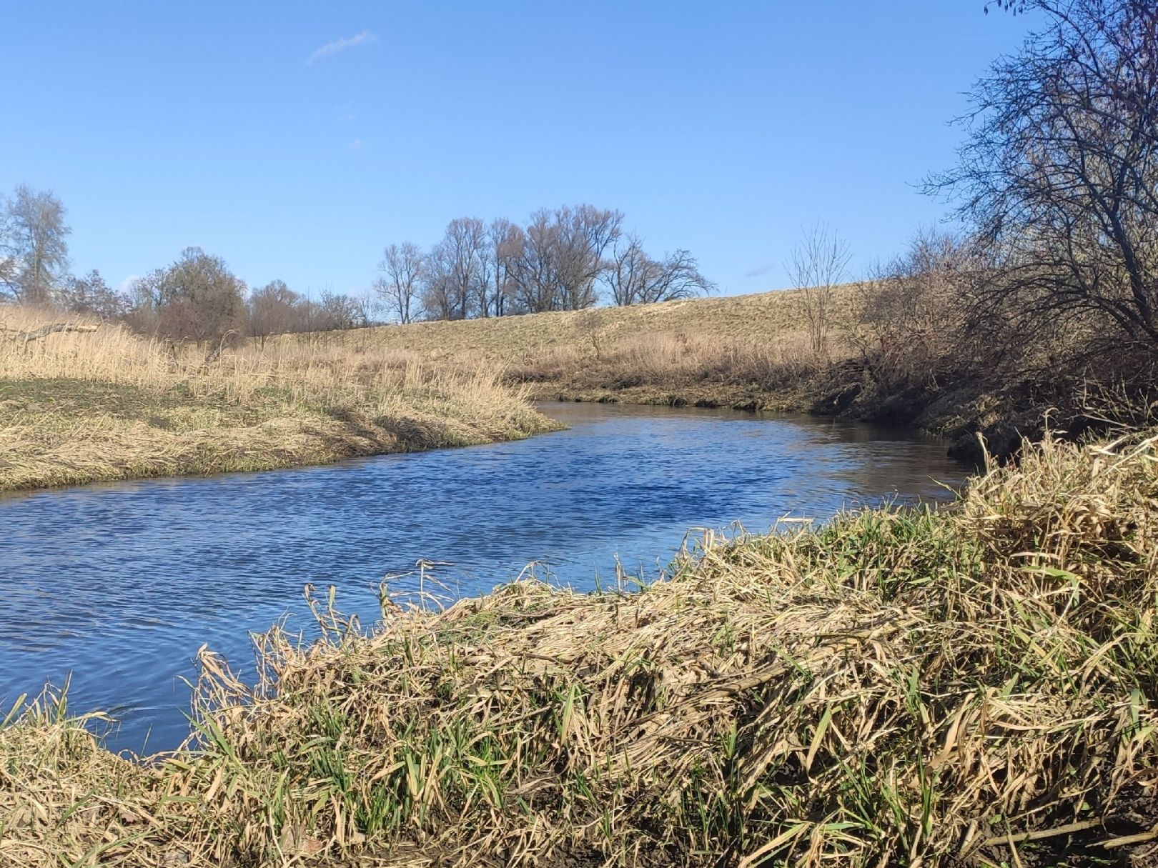 Kleine Donau (Vohburg) angeln