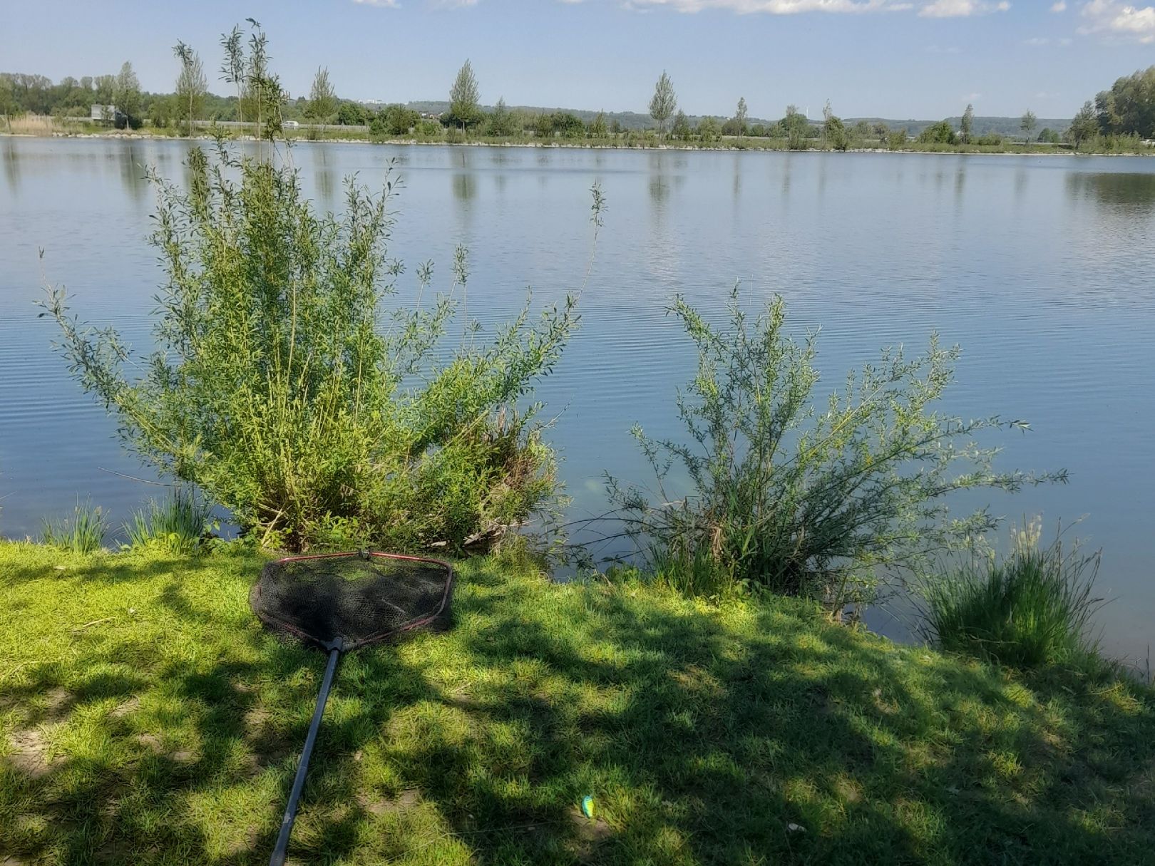 Birklensee (Neu-Ulm) angeln