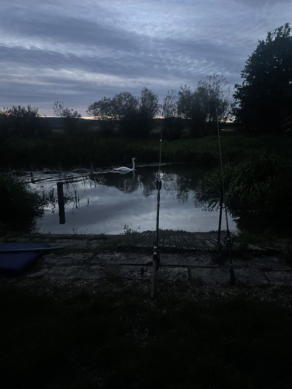 Altmühl (Trommetsheim) angeln