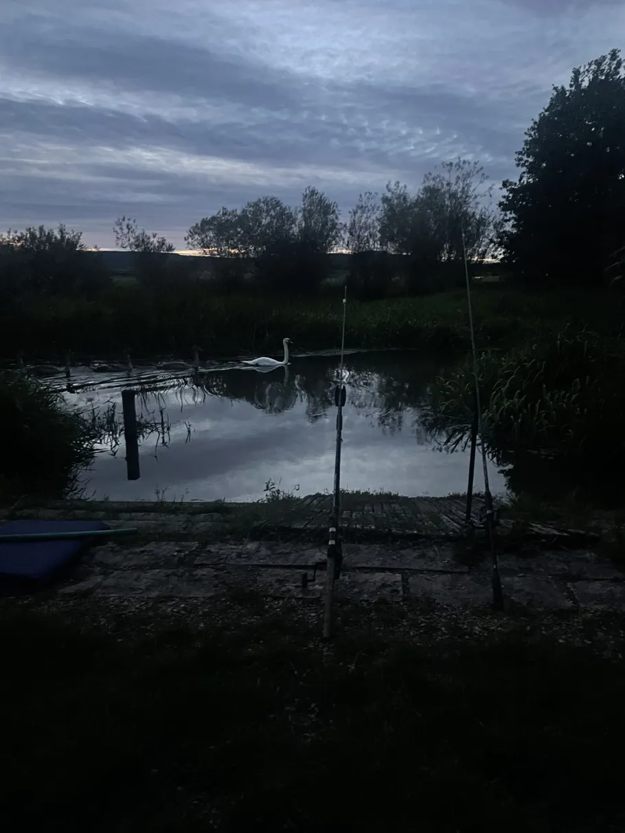 Altmühl (Trommetsheim) angeln