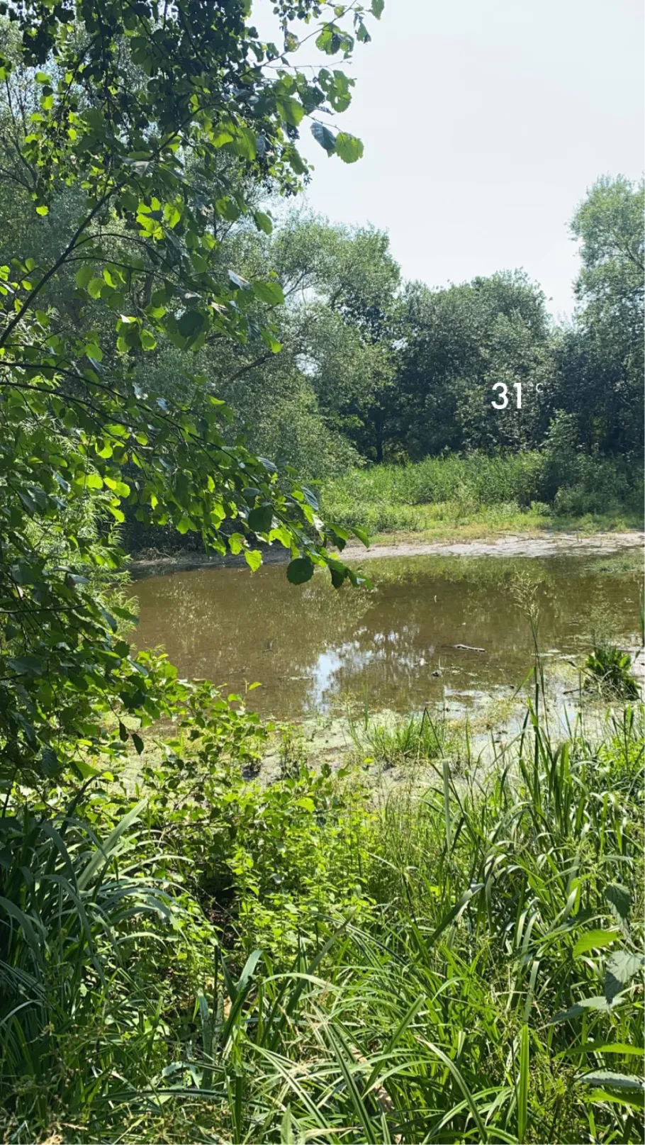 Ottendorfer Teich angeln