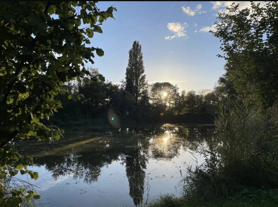 Rückhaltebecken (Zeilhard) angeln