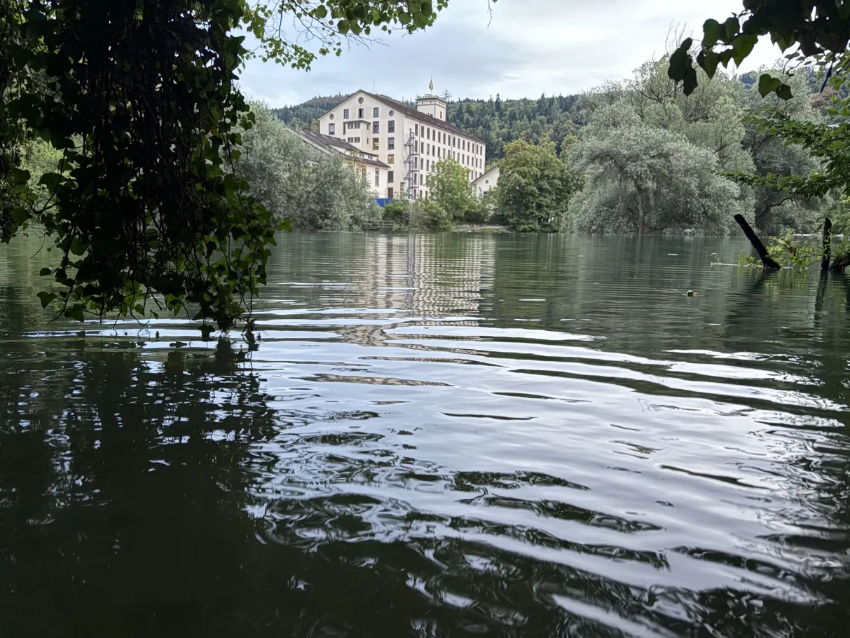 Limmat (Baden) angeln