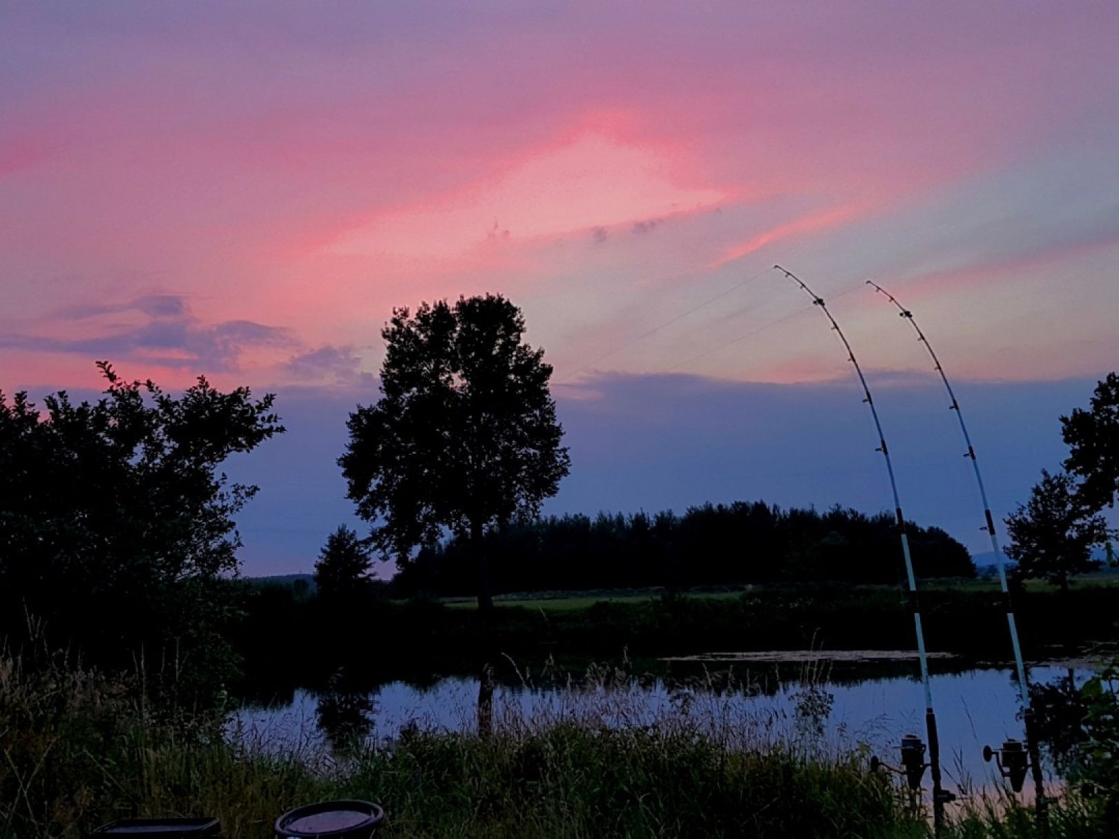 Naab (Schwandorf) angeln