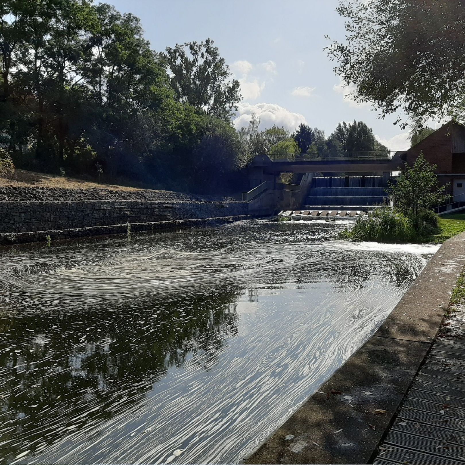 Angeln in Krausnick-Groß Wasserburg