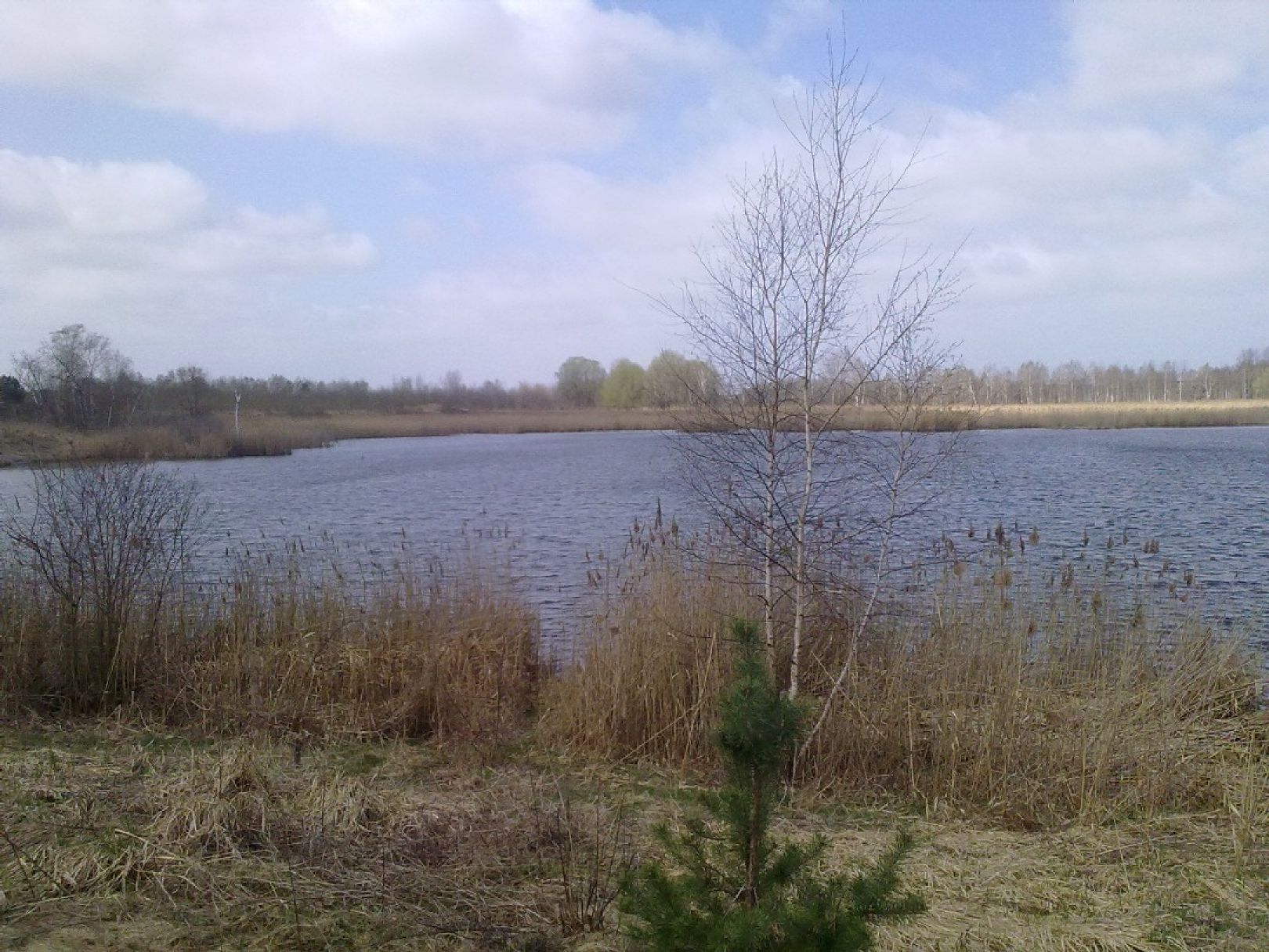 Großer Wildgruber See (Tröbitz) angeln
