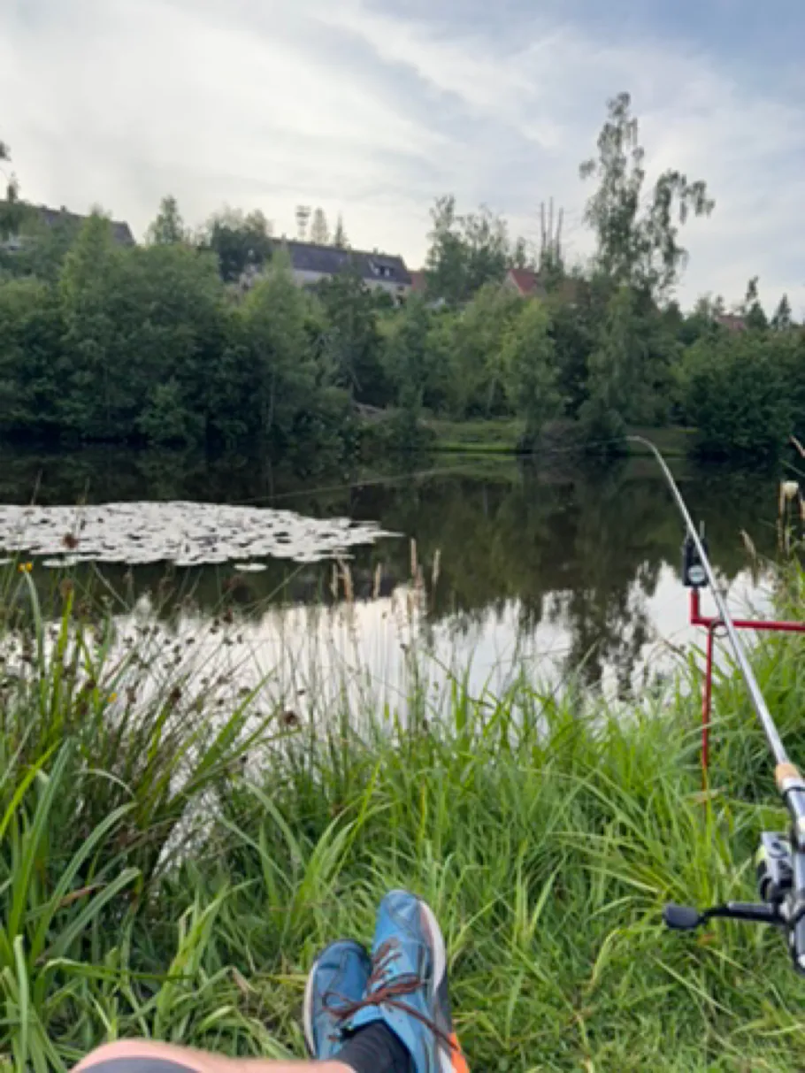 Susenburger Teich angeln
