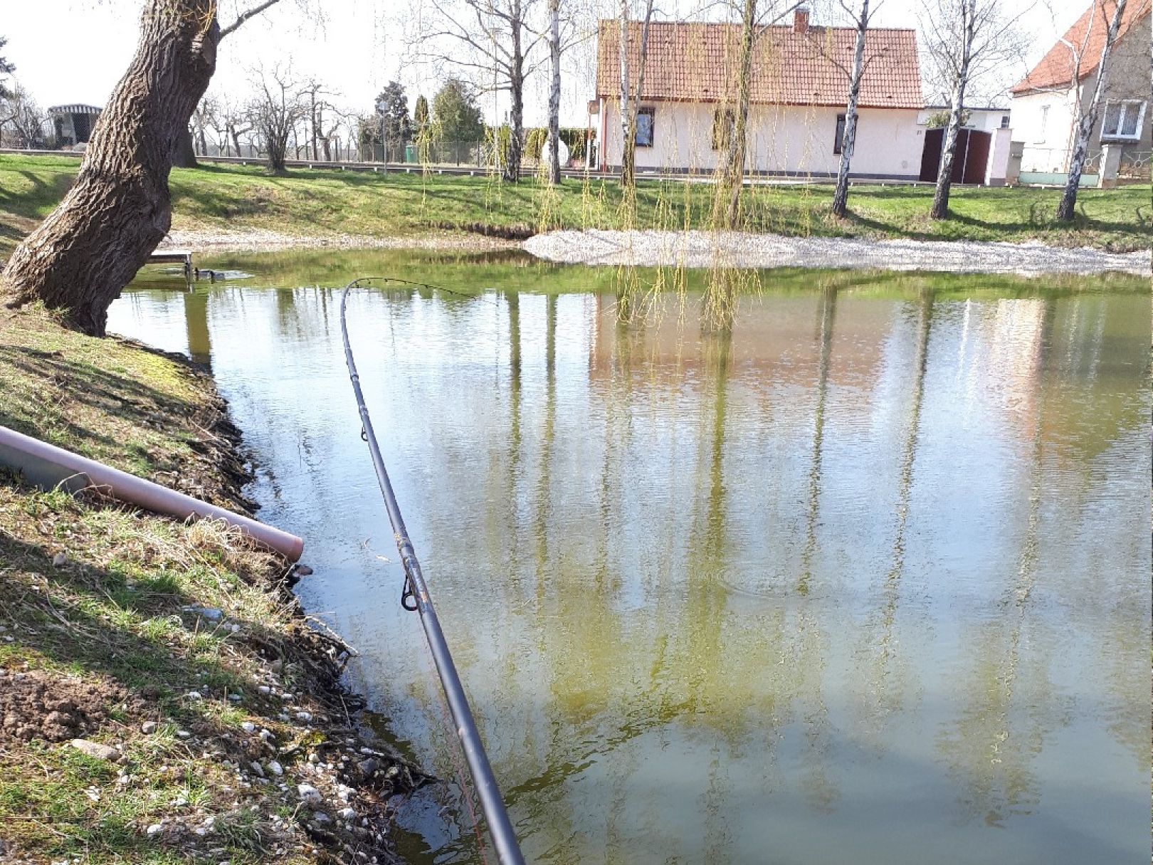 Inselteich (Glebitzsch) angeln