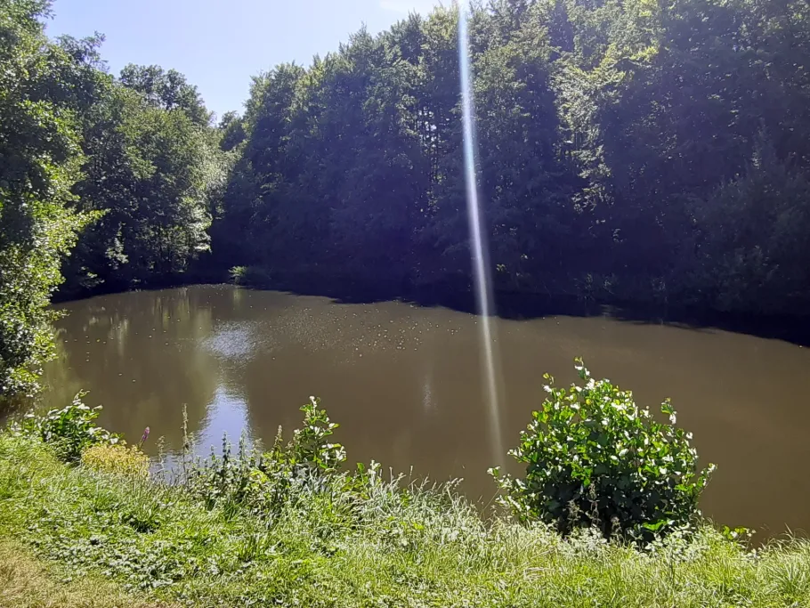 Fischteich Kreiswald angeln