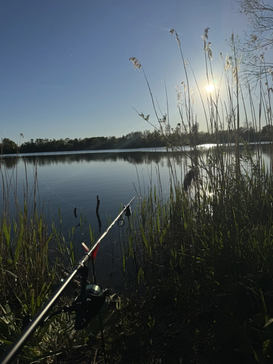 Skibowski Weiher angeln