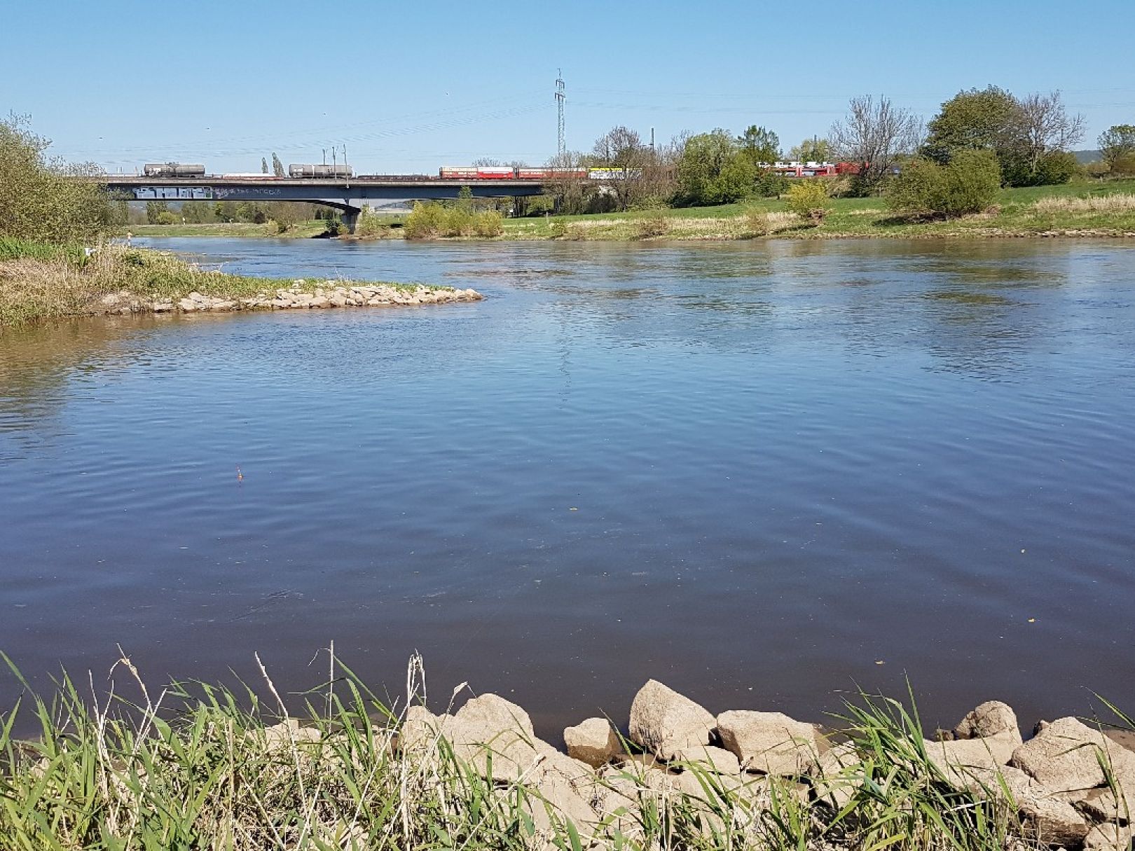 Weser (Bad Oeynhausen) angeln