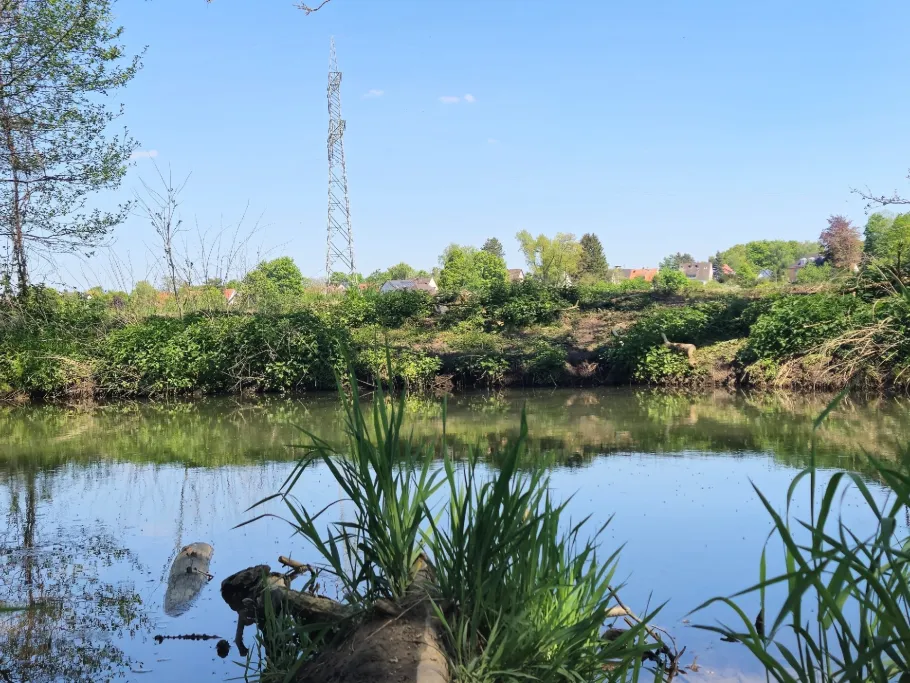 Schmutter (Hammel) angeln