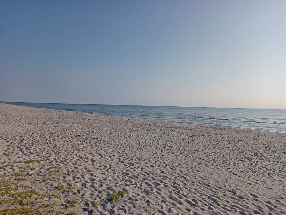 Ostsee (Sæby) angeln