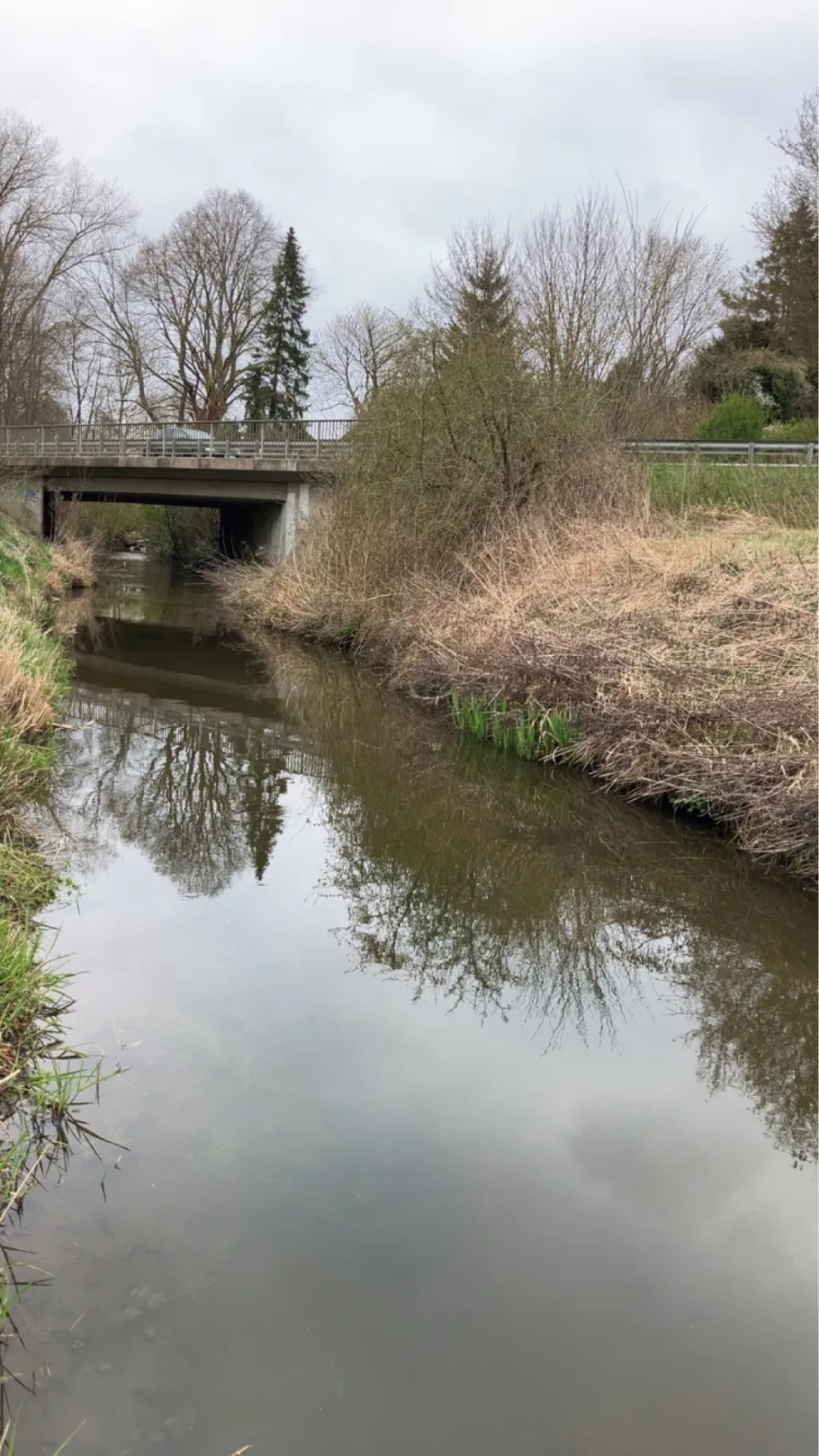 Eider (Bordesholm) angeln