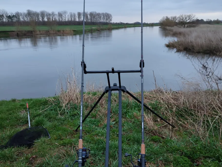 Mulde (Thallwitz) angeln